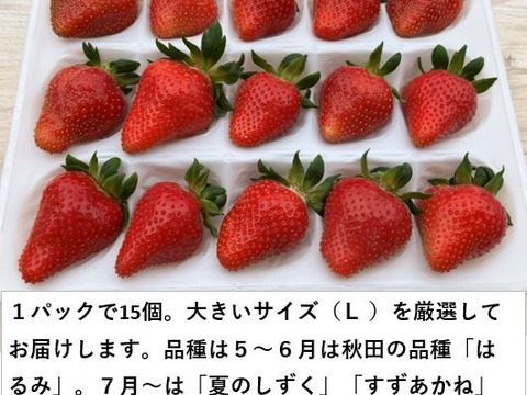 イチゴ 完熟で香り高い！＜揺りかごパック /１パック＞