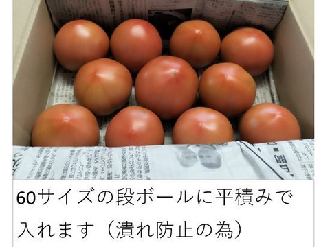 トマト 木生りで赤熟！コク深い旨み＜2800g＞