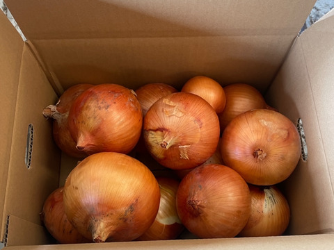 ◎農家直送!!【訳あり】淡路島産ブランド玉ねぎ 『にじたま』5kgダンボール入り（ご家庭用・13個前後） 使いやすいL・2L・3L混在！