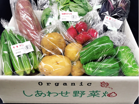 【規格外野菜利用】　オーガニック・しあわせ野菜・シェフセット  (Ｓサイズ）