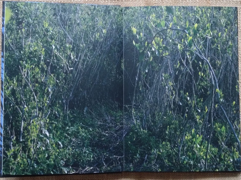 『Flow, Circulate And Shape』書籍 加茂自然農園 山崎徳哉 著