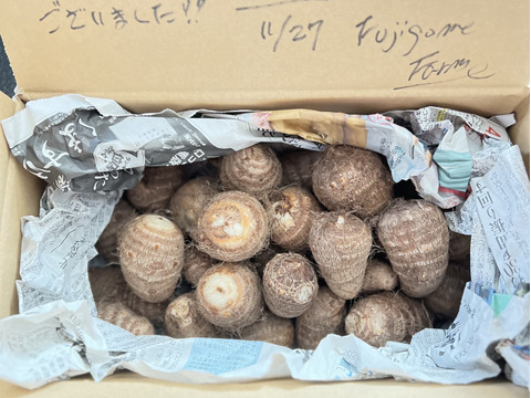 【予約販売】滑らか濃厚！赤城の里芋・約1.8kg（農薬＆化成肥料不使用）