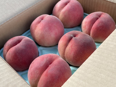 ★爽やかな夏ギフトにぴったり♪ 山形県の農園から直送まどか ２kg 6玉～９玉入