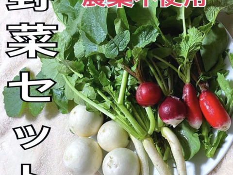旬の冬野菜の詰め合わせを60サイズで！！