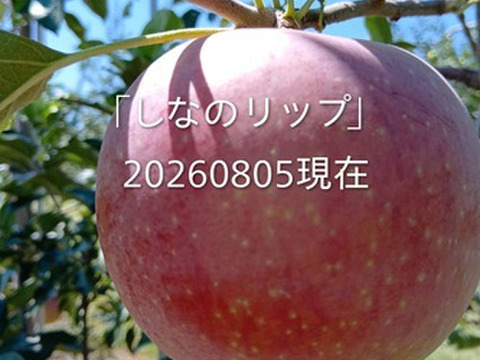 ８月収穫の夏りんご是非お試し下さい。「しなのリップ約5kg」長野県オリジナル品種。果汁が多く甘味と酸味のバランスが良い品種です。夏りんごの魅力お届けします。お届け後冷蔵庫にてお願いします。
