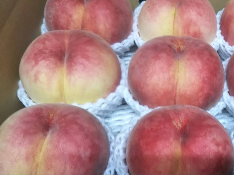 だて白桃(お家用)２kg×２箱