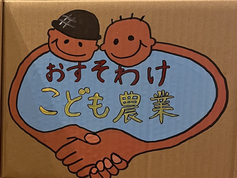 雪夏稚くんじゃがいも20kg』″超″熟成ホッカイコガネver.：北海道産の