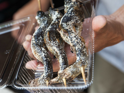 1尾からご注文可能！渓流の女王ヤマメ(１尾約120g前後)【八ヶ岳南麓の湧水育ち】