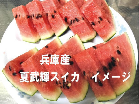 兵庫産夏武輝 小玉スイカ1玉　ご家庭用⑨