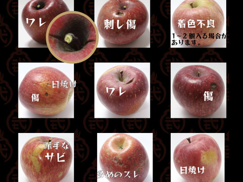 🍎「シナノスイート」見切り品10キロ☆加工にイチオシ！簡易包装でたっぷり楽しめます〜もったいないりんごを減らしたい〜※化学合成農薬約40％削減