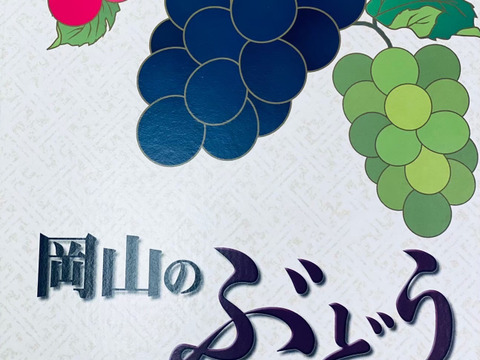 岡山県産✨食べ比べセット🍇オーロラブラック&ニューピオーネ2房入🎶