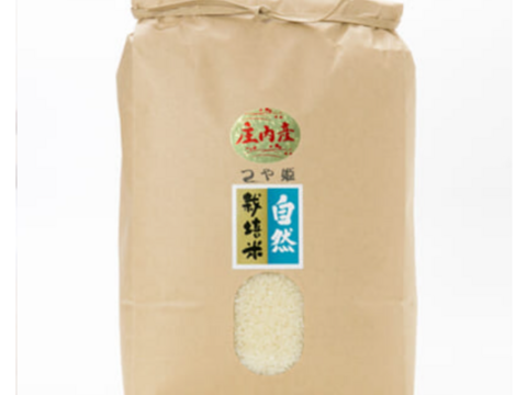 【 白米・10kg 】米の旨味たっぷり 自然栽培米 つや姫(5kg×2袋)