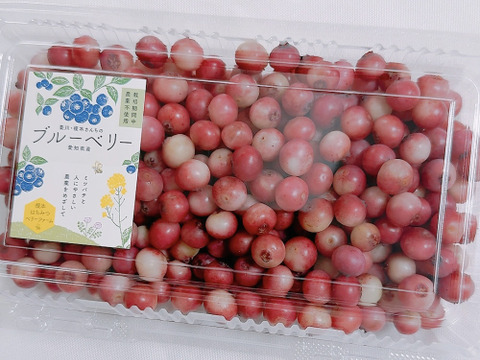 【18年間農薬不使用】ピンク色の冷凍ブルーベリー　500g