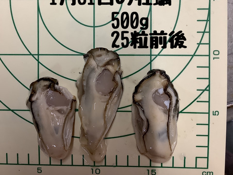 【生食可能】今が旬！殻付き牡蠣3キロ　剥き身500g