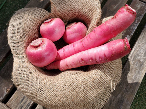 テーマは『カラフル&珍しい』野菜セット(野菜6種類入り)農薬・化学肥料不使用