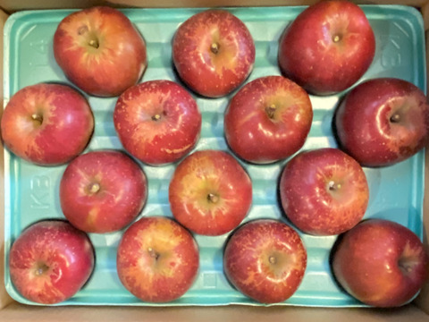 ≪発送中≫幻のりんご【あいかの香り】訳あり約5kg