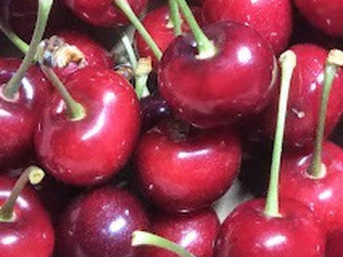 【発送は６月中旬～】さくらんぼ 紅さやか３５０ｇ×２(お家用)「甘酸っぱいのが好みの方にオススメ!!」