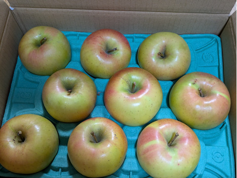 【このりんごを嫌いな人はいますか？？】名月 3キロ箱 6玉〜15玉サイズ 商品ID44435 ぐんま名月 甘い 信州 リンゴ 幻 幻のリンゴ 予約 希少