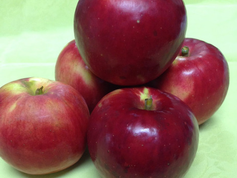 紅の夢・紅玉セット (B品各2k・合計4k )