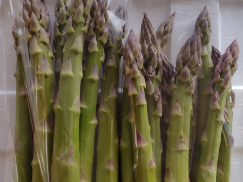 【4/24で販売終了】アグリットの初物アスパラふくきたる800g