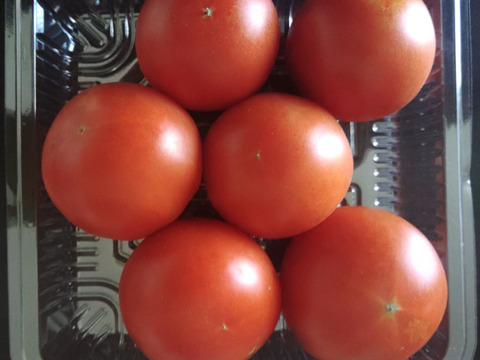 幻のトマト「光２号」400ｇ　北海道産