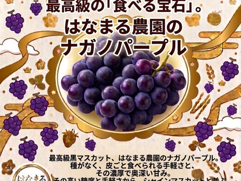 はなまる農園のナガノパープル1キロ