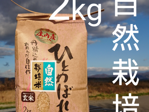 【 玄米・2kg 】米の旨味たっぷり 自然栽培米 ひとめぼれ