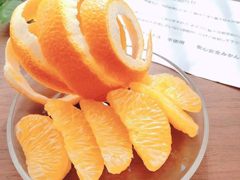 みかん畑セット【食べ比べ】3.3kg（箱込）