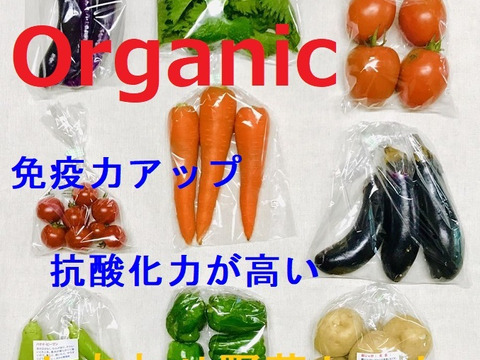【フードロス対応　規格外野菜使用】　オーガニック野菜　「シェフＭセット」