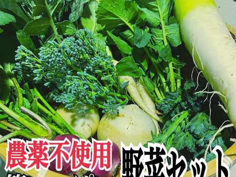 農薬不使用の野菜詰め合わせを80サイズでお届け