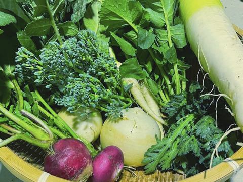 農薬不使用の野菜詰め合わせを80サイズでお届け