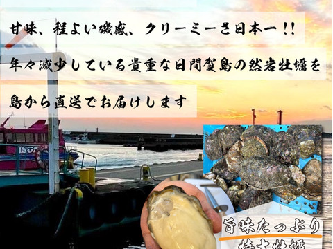 《日間賀島産》素潜り漁採取，天然岩牡蠣
超特大サイズ【下処理して発送致します‼︎※写真7枚目】濃厚な旨味、海のミルク、2Kg2.3個入