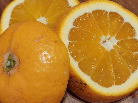 きよみオレンジ『大玉』4.5kg（箱込）80