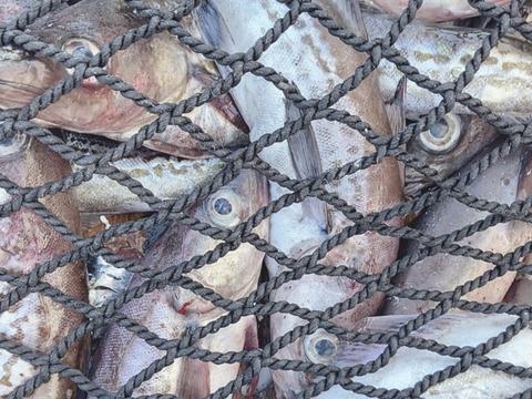 漁師の店　冬の海鮮BOX