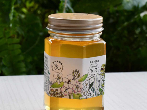 お買い得（180ｇ3瓶セット）　季節の贈り物 百花蜂蜜【非加熱・純粋】ミネラルたっぷり