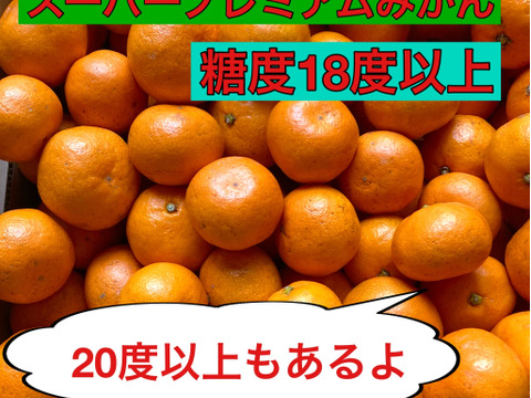 【糖度18度以上】濃厚・絶品スペシャルなプレミアム小玉早生ミカン　5kg