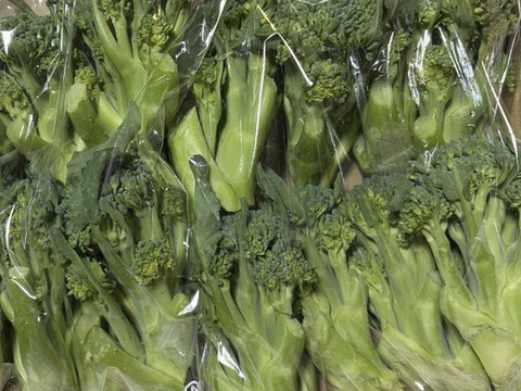 スティックセニョール　頂花蕾　2kg 数量限定