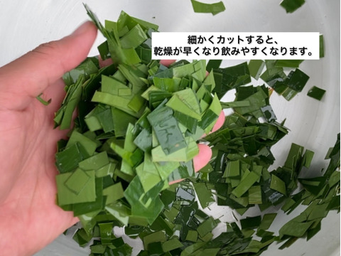 【数量限定！】本場沖縄のスーパーフード！
月桃の葉(5~6枚)と琉球自然薯(1kg)の限定セット