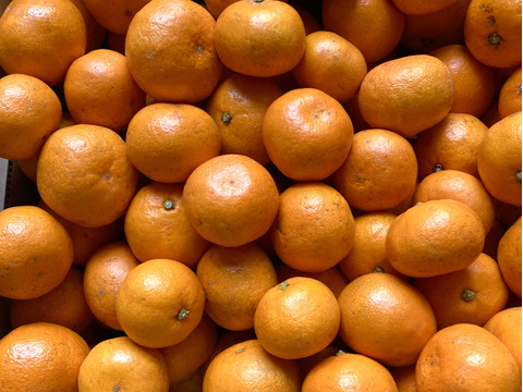 【越冬完熟・濃厚・絶品】『プレミアム小玉興津早生みかん（S玉以下）』　3kg