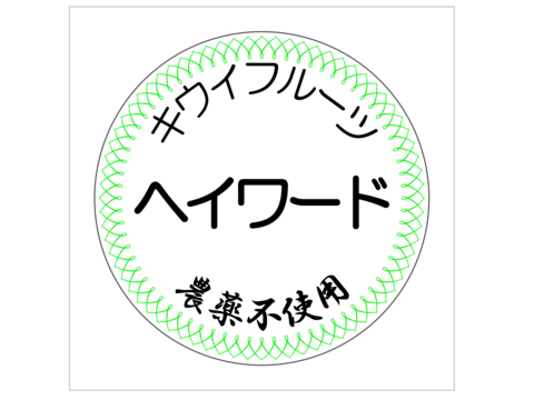 農薬不使用キウイフルーツ2Ｌサイズ　16個(約2kg)