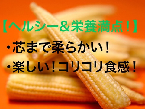 【おすすめ】☆ヘルシー&栄養満点!☆朝採れ☆オーガニック☆ヤングコーン50本👨🌾🌽