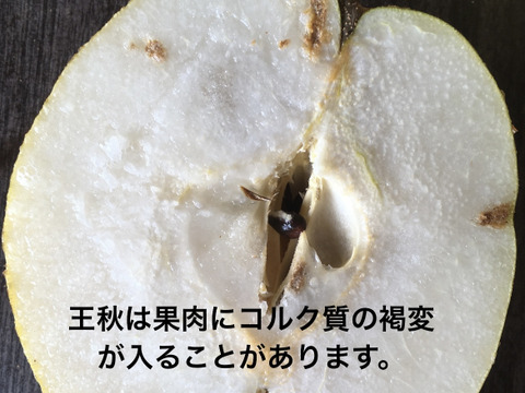 栃木県産 ご家庭用 王秋梨　5kg 6〜9玉入り
