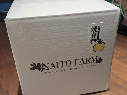 【露地もの食べ比べ】小ぶり晩白柚1個＆璃の香レモン1個