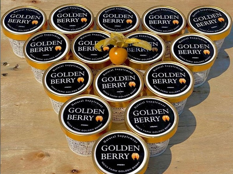 どっちが好き？ゴールデンベリー（食用ほおずき）アイス食べ比べセット120ml×6個入り