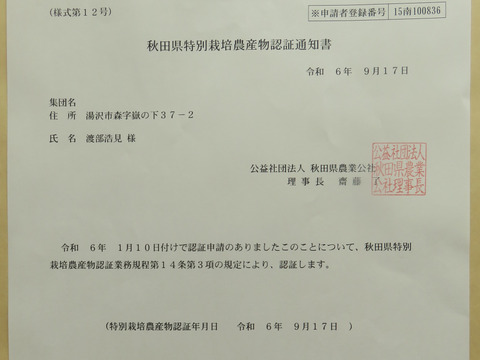 特別栽培米  あきたこまち 精米5kg×2