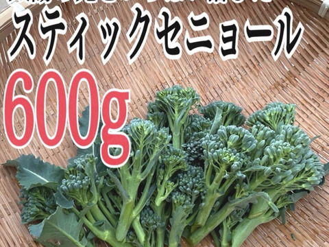 数量限定でスティックセニョールを600gお届けします。