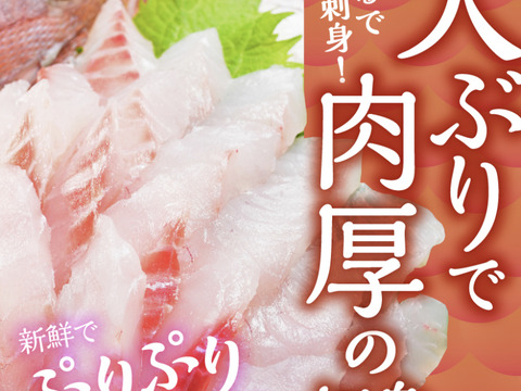 静岡産マダイづくしセット4【ギフトにもおすすめ】（鯛ごま茶漬け・鯛だし・鯛さしみ・干物・煮付け）