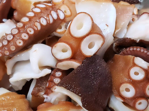 北九州市が誇る関門海峡たこ　プリプリ刺身用ぶつ切り500g♪たこ焼き、アヒージョ、唐揚げに直ぐ使えます