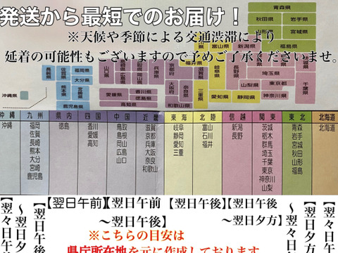 コリコリ食感がクセになる味わいがまさにアスパラガス!茎レタス5kg