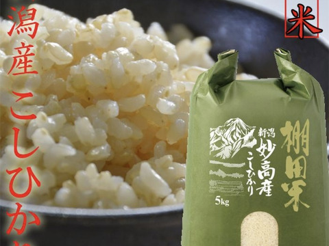 新潟県産 棚田米 コシヒカリ 5kg 玄米 令和6年産 (53)：新潟県産